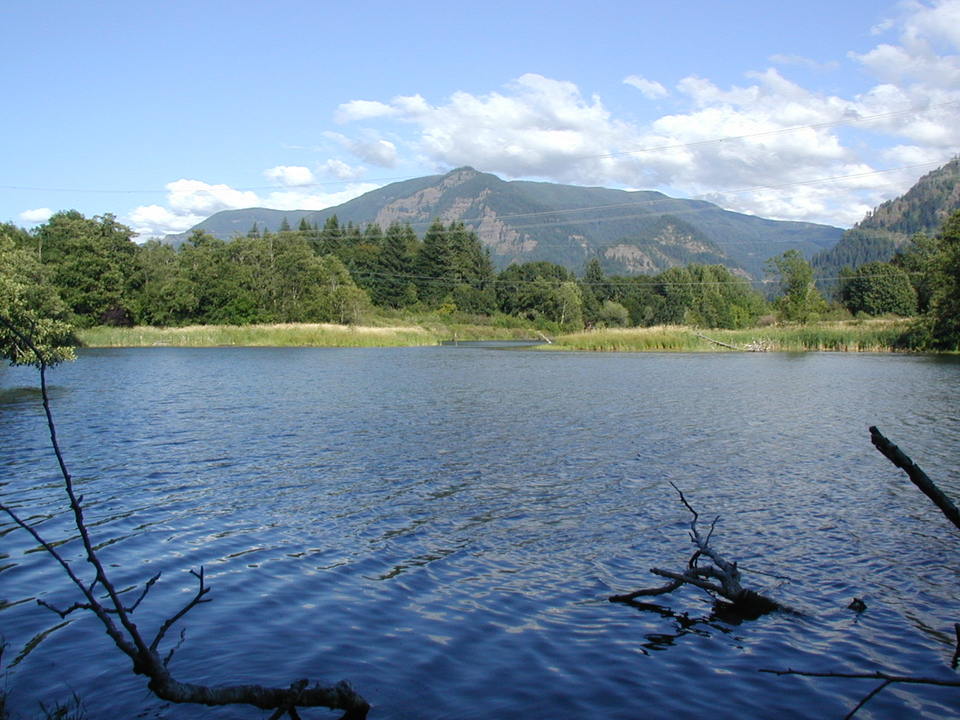 North Bonneville, WA Greenleaf Lake on shore photo, picture, image
