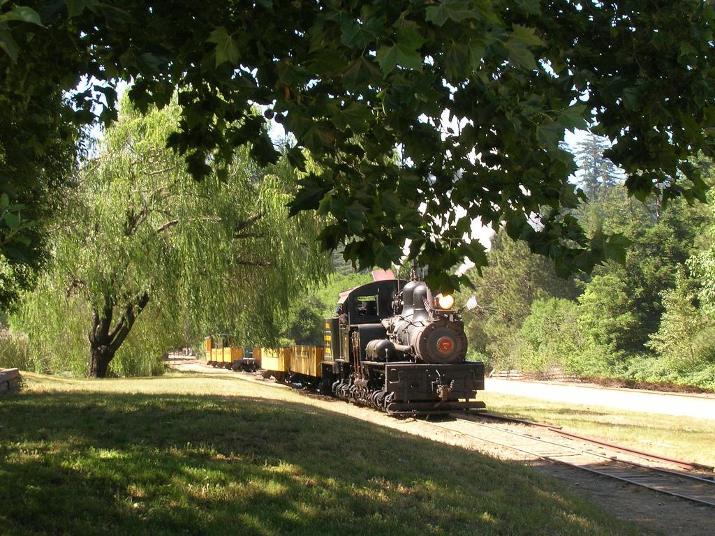 Felton, CA Here Comes Number 7, Roaring Camp Railroad photo, picture