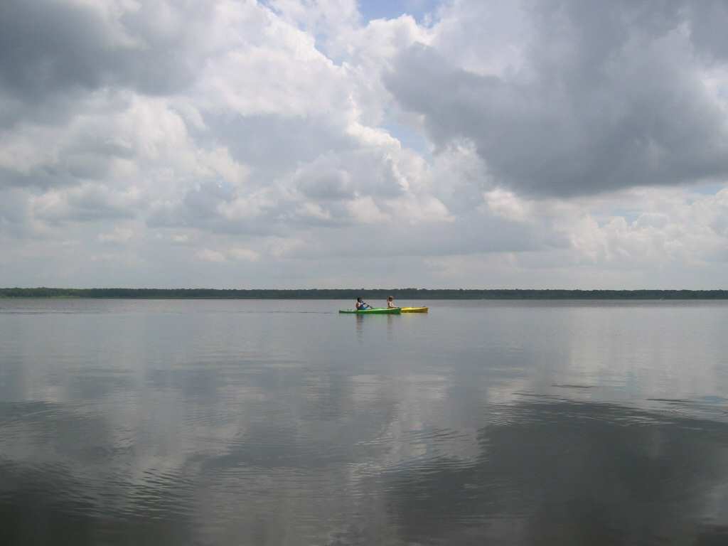 Lake Panasoffkee, FL Lake Panasoffkee photo, picture, image (Florida