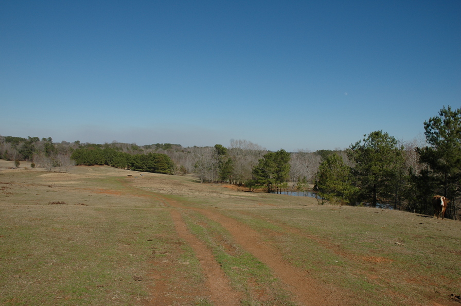 Alto, TX Alto, Texas Farm Land photo, picture, image (Texas) at city