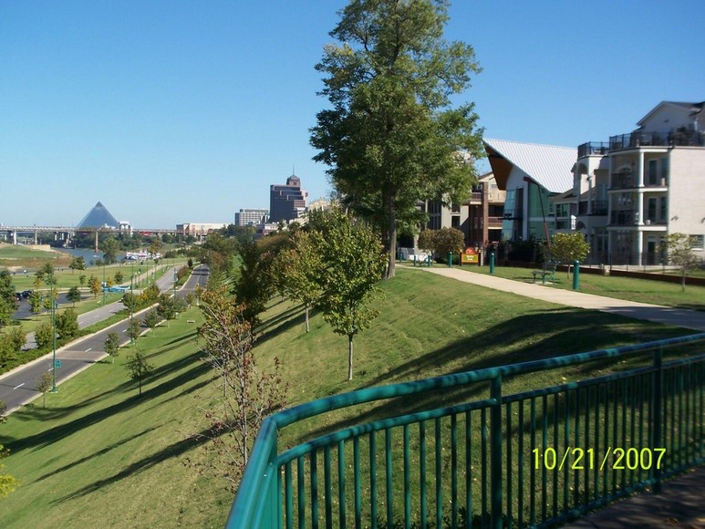 Memphis, TN Riverside Drive Looking North photo, picture, image (Tennessee) at