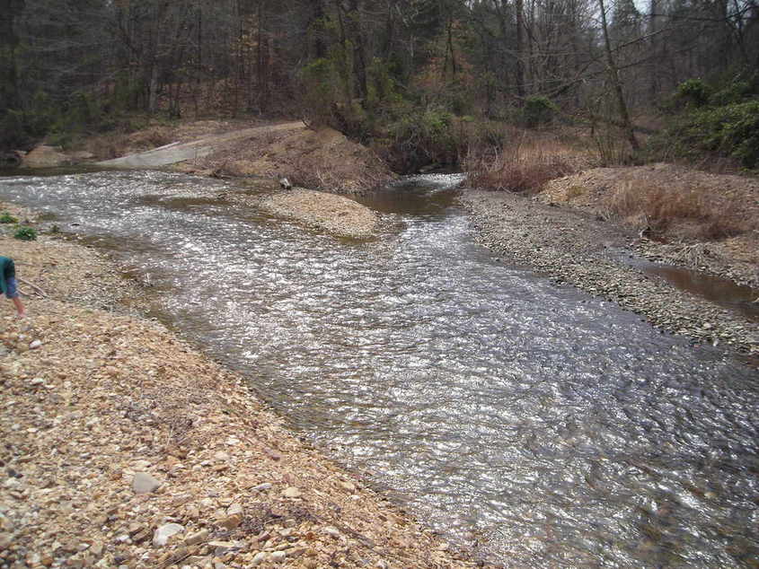 Linden, TN Creek Near Linden photo, picture, image (Tennessee) at