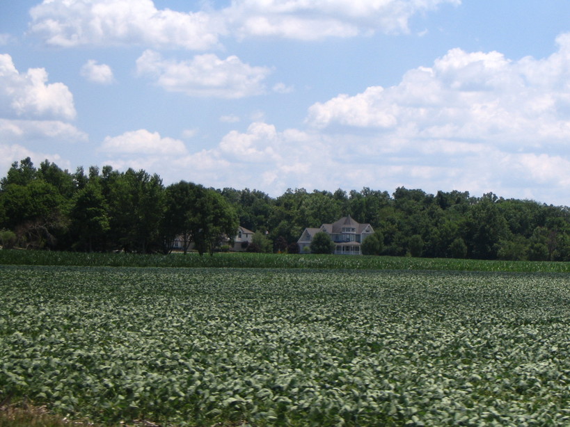 Minster, OH Minster photo, picture, image (Ohio) at