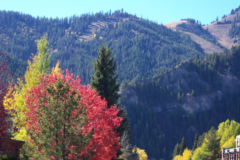 Ketchum, ID Fall colors, view from downtown Ketchum photo, picture