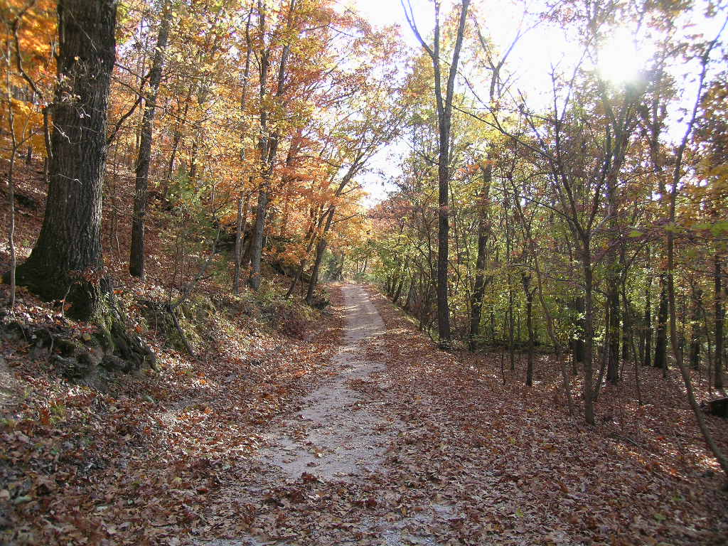 Garfield, AR Dirt Roads are typical in Garfield Beautiful natural