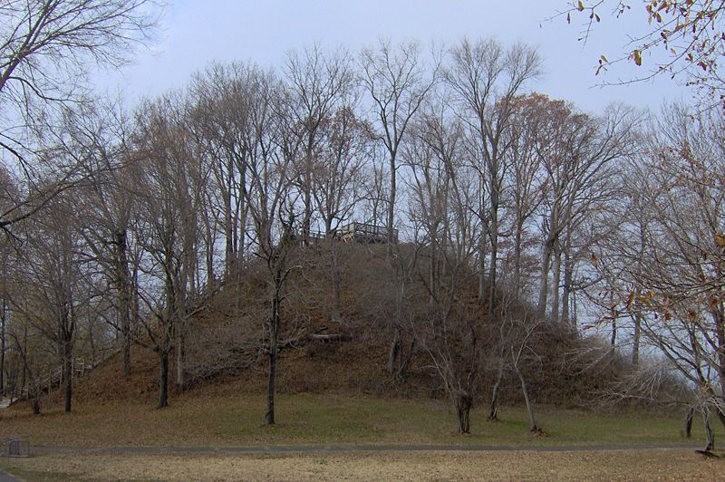 Jackson, TN pinson mound state park photo, picture, image (Tennessee