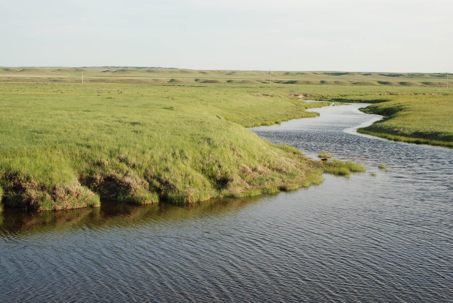 Plentywood, MT Approx 10 miles outside of Plentywood photo, picture, image (Montana) at city
