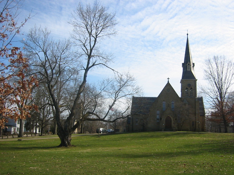 Gambier, OH Large Norway Maple in Gambier photo, picture, image (Ohio