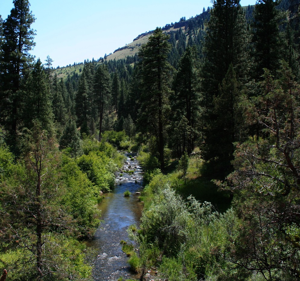 Dayville, OR South Fork of the John Day River.... photo, picture
