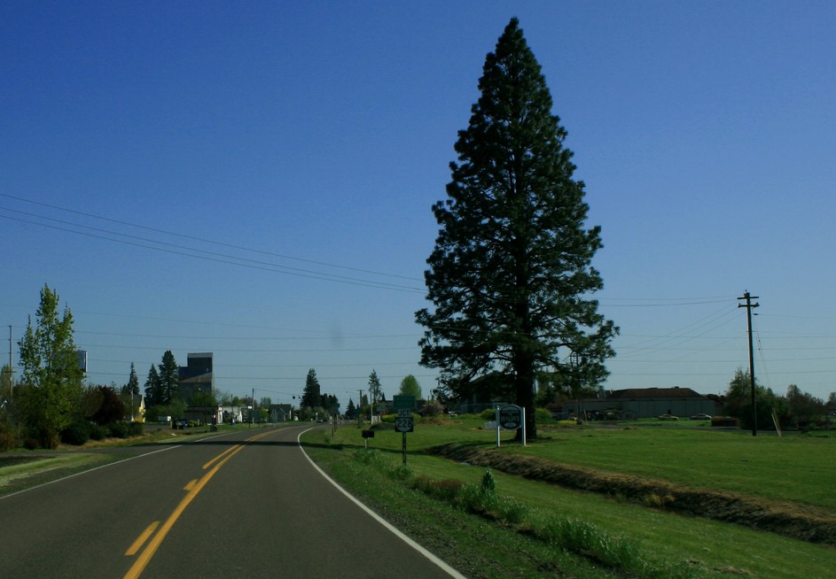 Halsey, OR Coming in to Halsey... photo, picture, image (Oregon) at