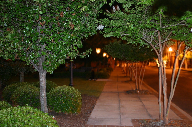 Hattiesburg, MS downtown photo, picture, image (Mississippi) at city