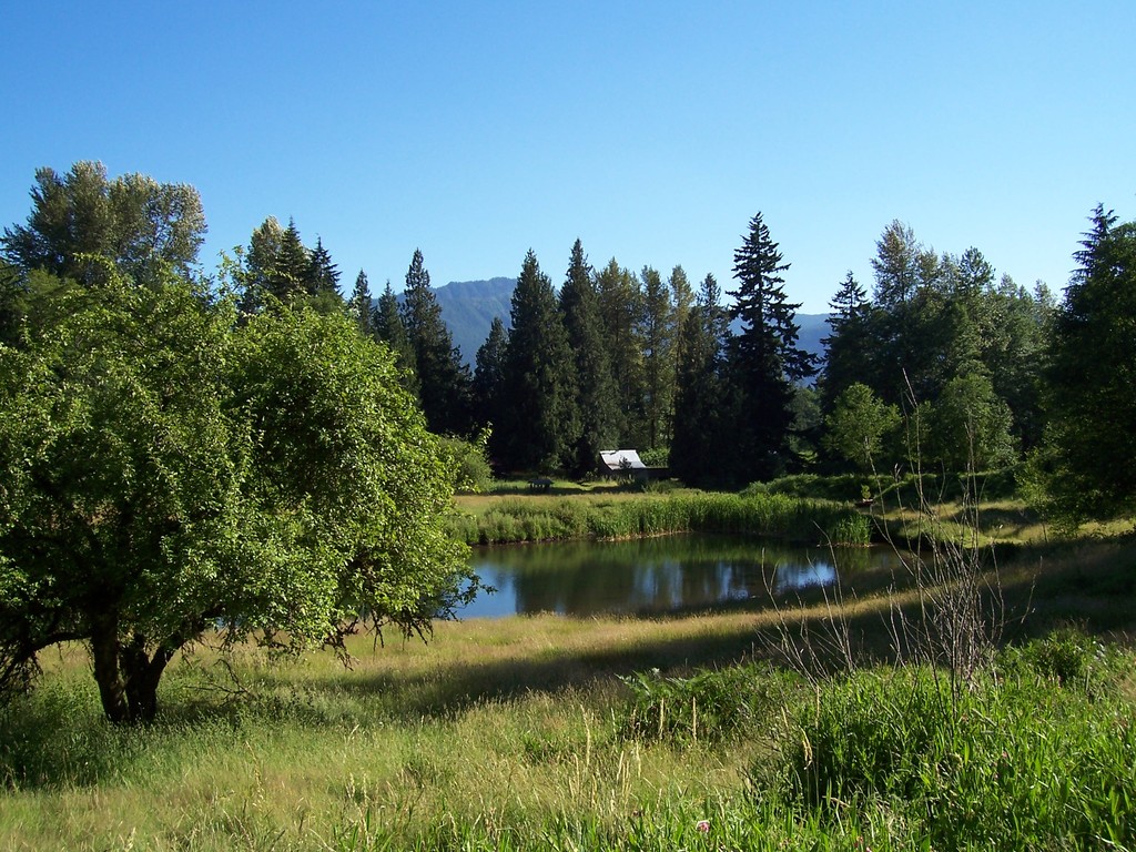 Ashford, WA Country Home Off Hwy 706 photo, picture, image
