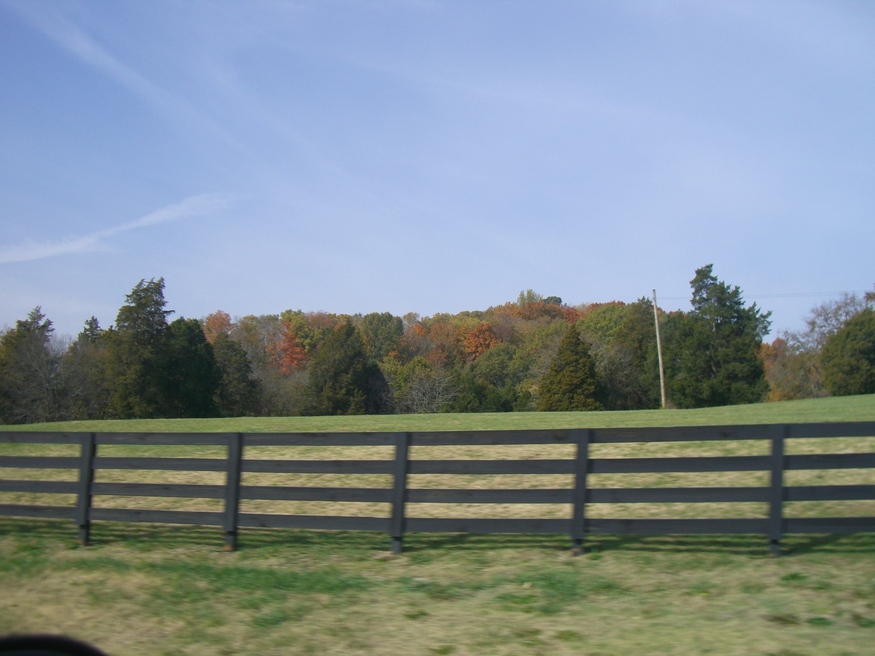 Smyrna, TN photo, picture, image (Tennessee) at