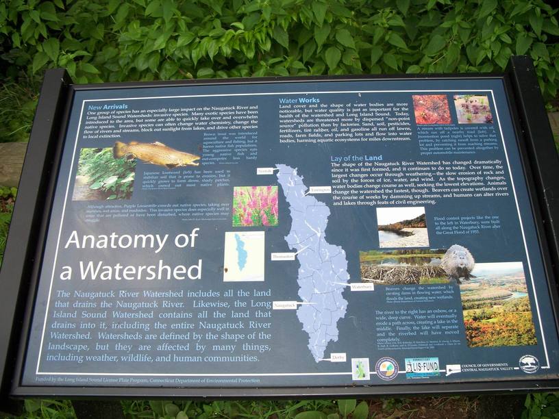 Naugatuck, CT Linden Park, Naugatuck 12 photo, picture, image