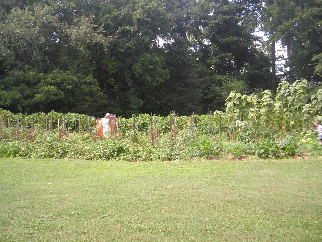 Drummonds, TN My MIL's garden photo, picture, image (Tennessee) at
