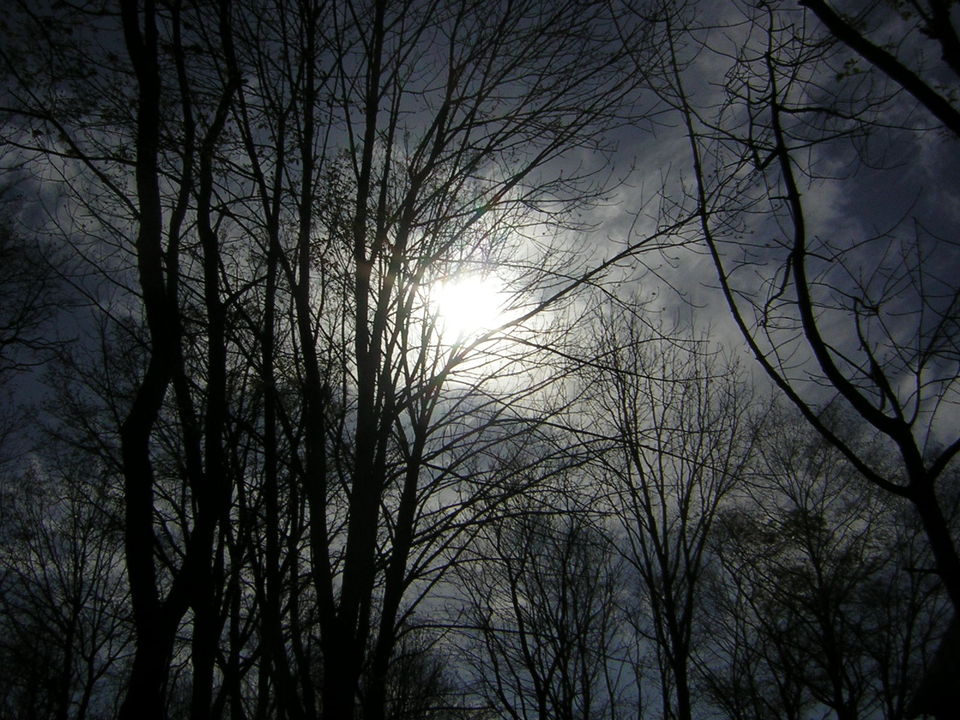 Walnut Cove, NC photo, picture, image (North Carolina) at