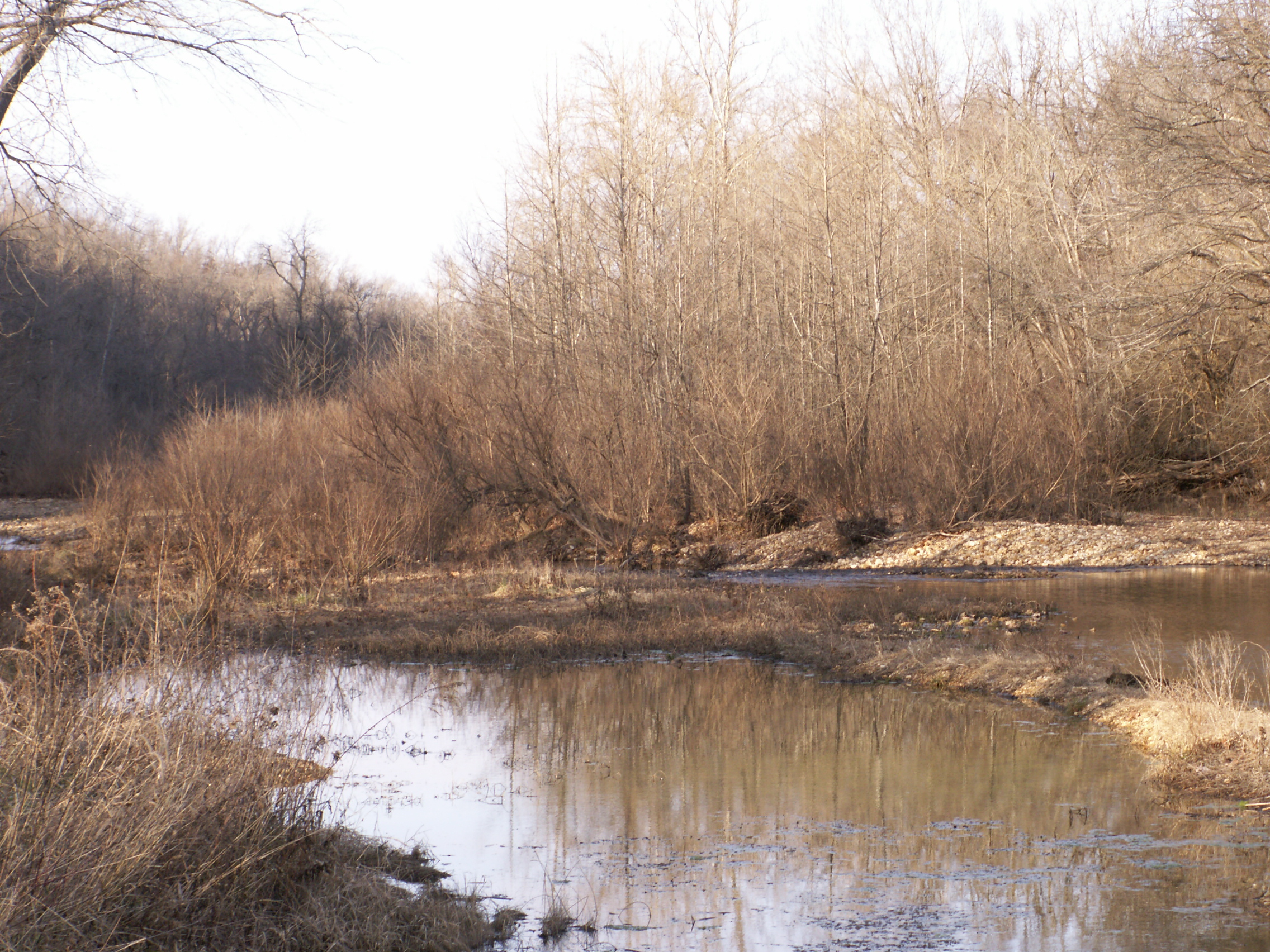 Timberon, NM photo, picture, image (New Mexico) at