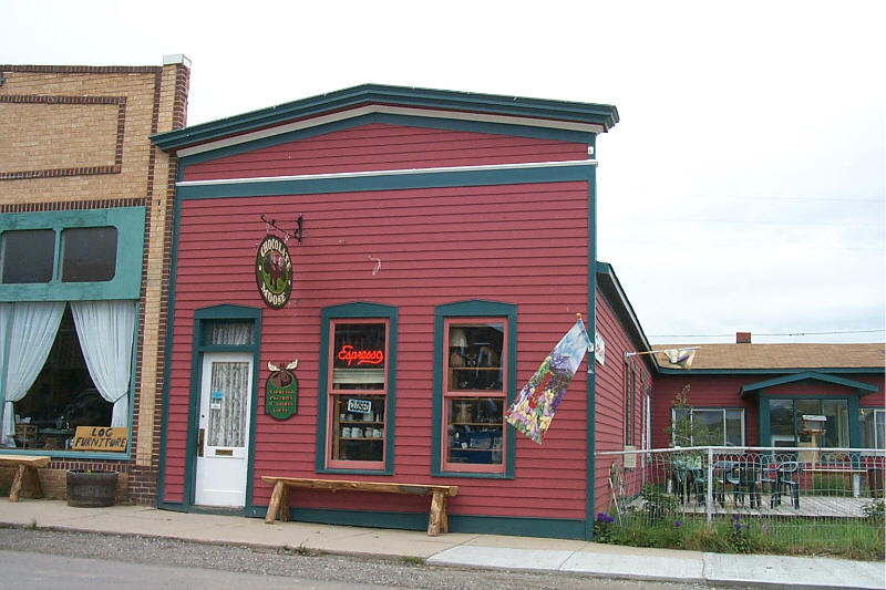 Fairplay, CO Moose photo, picture, image (Colorado) at