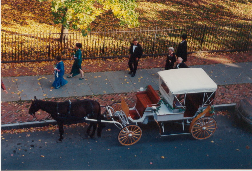 Troy, NY Washington Park Troy NY Wedding photo, picture, image (New