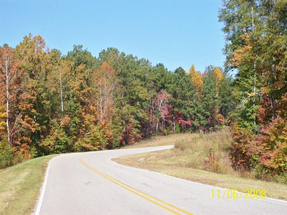 Eclectic, AL Autumn '08 photo, picture, image (Alabama) at