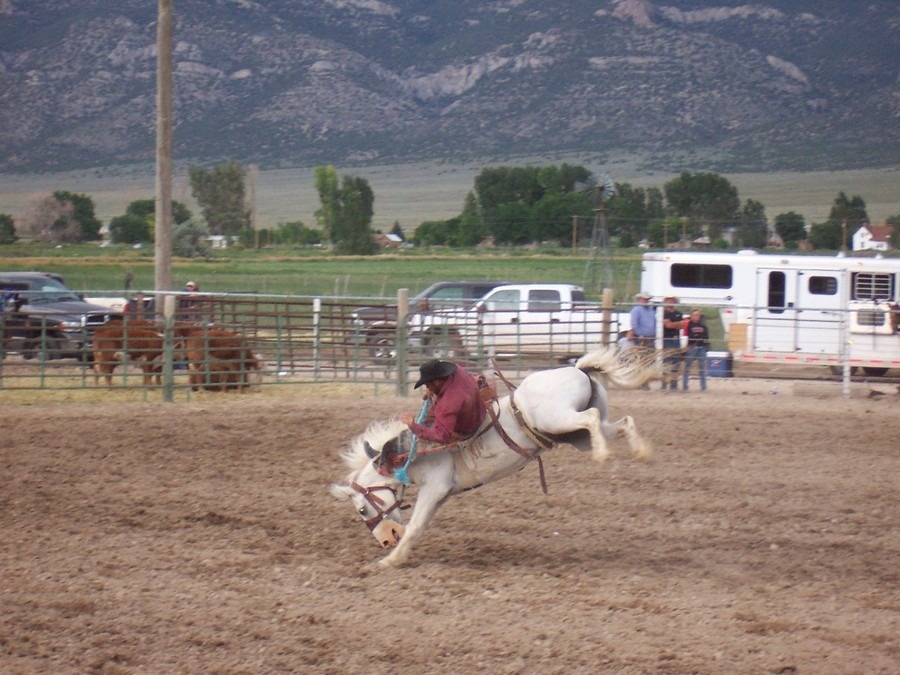 Lund, NV Lund Redeo photo, picture, image (Nevada) at