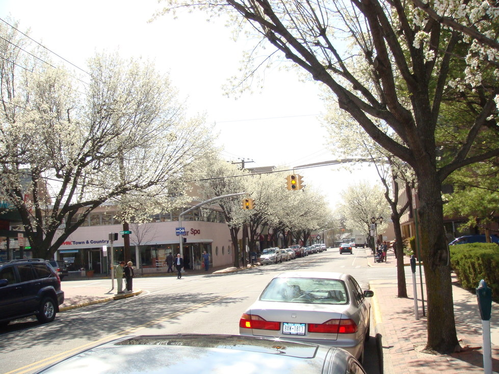 Great Neck, NY Great Neck, Spring 2009 photo, picture, image (New