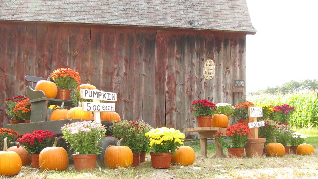 Sterling, CT Buttercup Farm, Main street, Sterling CT photo, picture