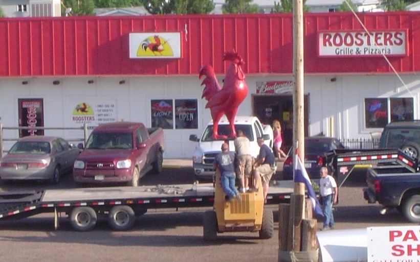 Calhan Co Livestock Auction at Edward Kratz blog