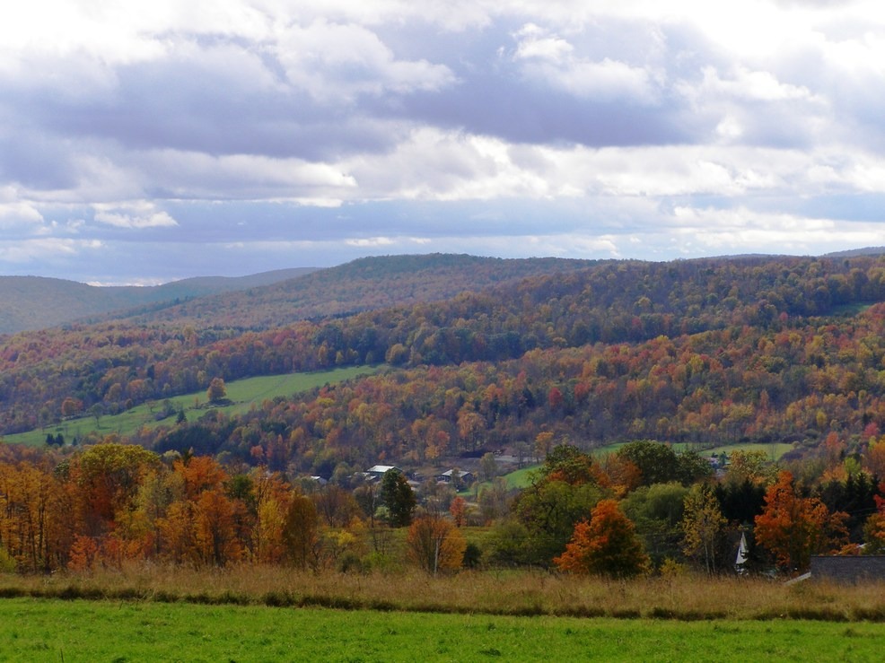Walton, NY Fall 2009 Walton, NY photo, picture, image (New York) at