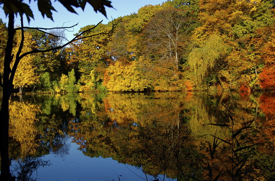 New Rochelle, NY Glenwood Lake, New Rochelle, NY photo, picture