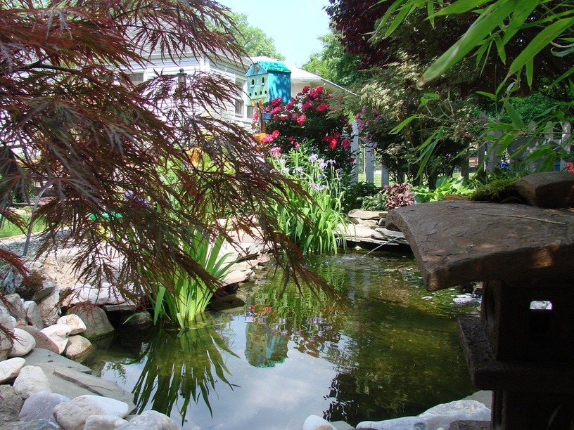 Rahway, NJ A VIEW AT MY BACKYARDPARADISE photo, picture, image (New