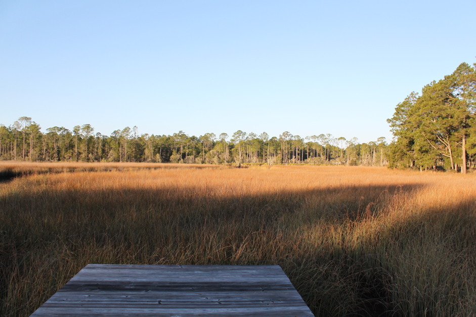 Wewahitchka, FL looking out onto wetappo creek photo, picture, image
