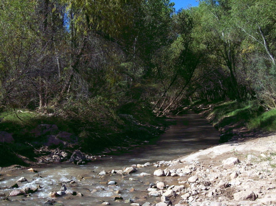 Lyle, WA photo, picture, image (Washington) at