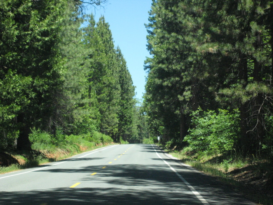 Foresthill, CA driving down the road photo, picture, image