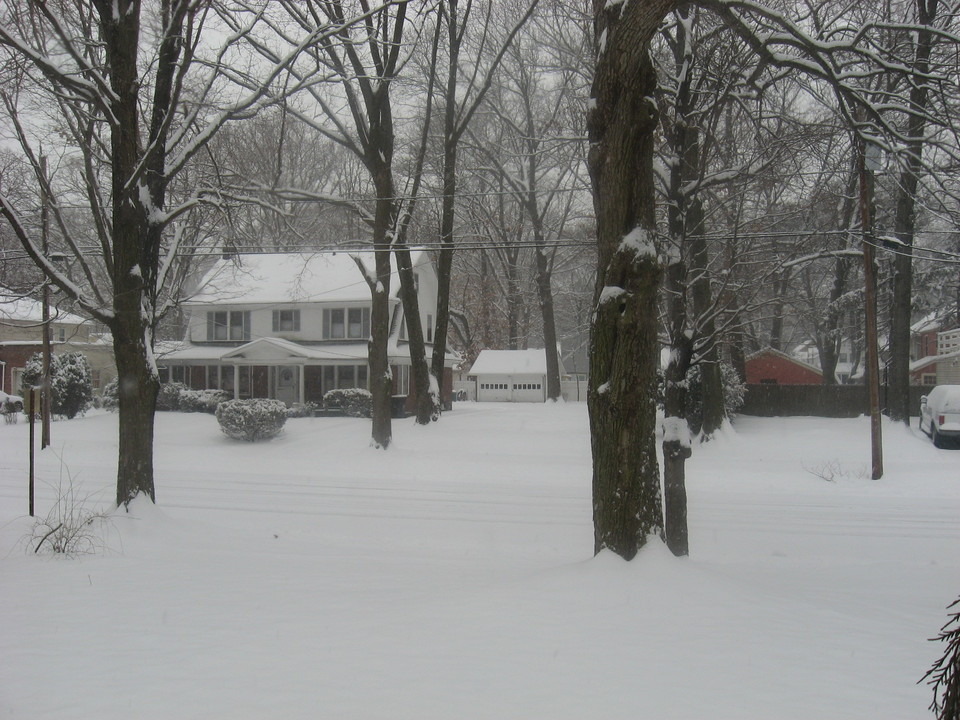 Plainfield, NJ Field Avenue in the Snow photo, picture, image (New