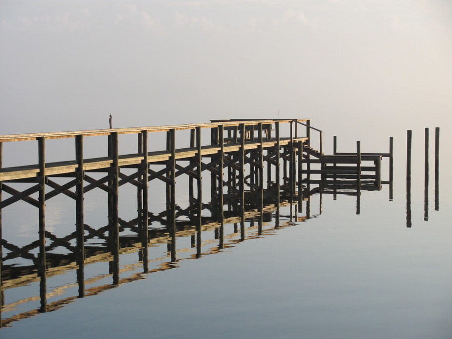 Malabar, FL Early Morning Fog photo, picture, image (Florida) at city