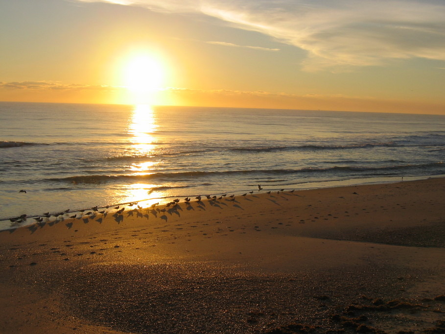 Satellite Beach, FL Sunrise Satellite Beach FL photo, picture, image