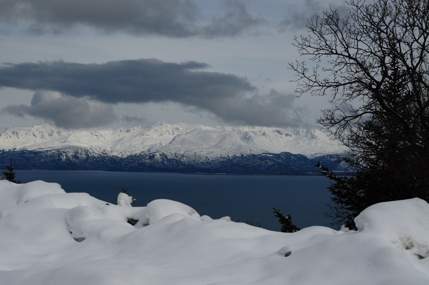 Rail Road Flat, CA photo, picture, image (California) at