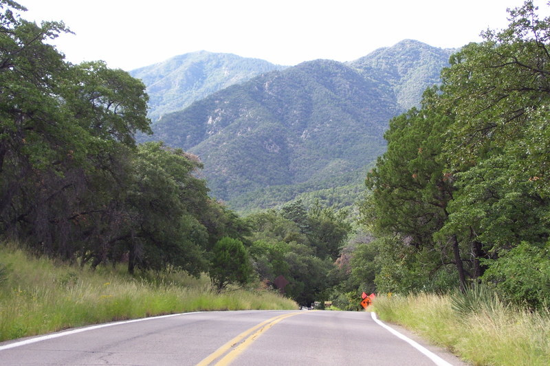 Tucson, AZ Madera Canyon photo, picture, image (Arizona) at