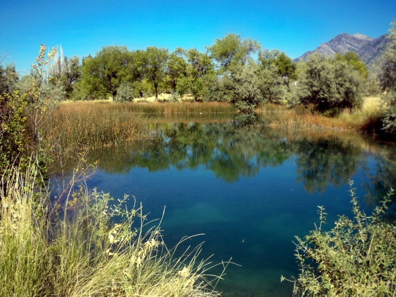 Mona, UT Burston Pond photo, picture, image (Utah) at