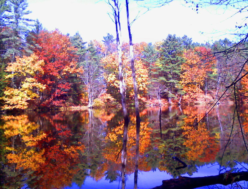Windham, ME Dundee Pond, Fall 2010 photo, picture, image (Maine) at