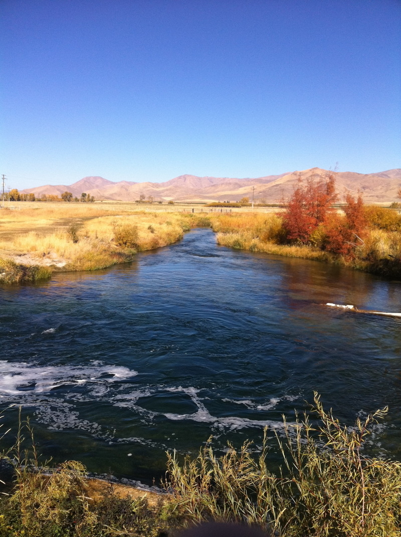Hailey, ID Silver Creek is very close to Hailey photo, picture, image