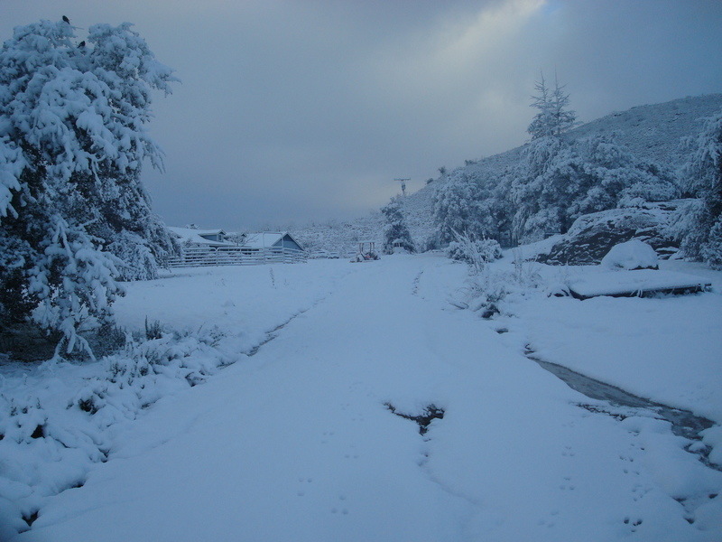 Ramona, CA 27 Feb 2011 Woke up to this view of TripleT Ranch in