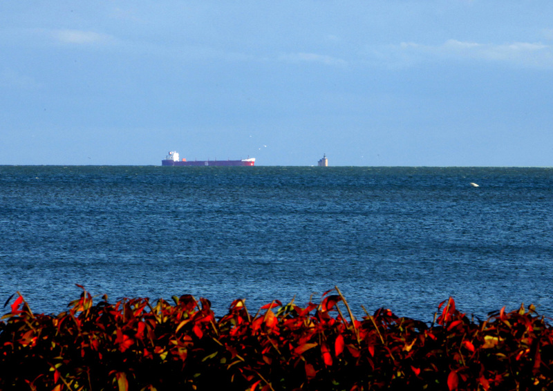 Luna Pier, MI Toledo Harbor Light from Luna Pier photo, picture