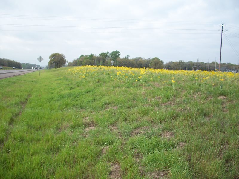 Kendleton, TX kendleton's beauty photo, picture, image (Texas) at