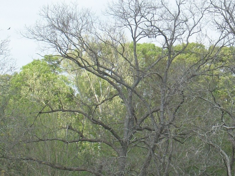 Kendleton, TX kendleton's beauty photo, picture, image (Texas) at