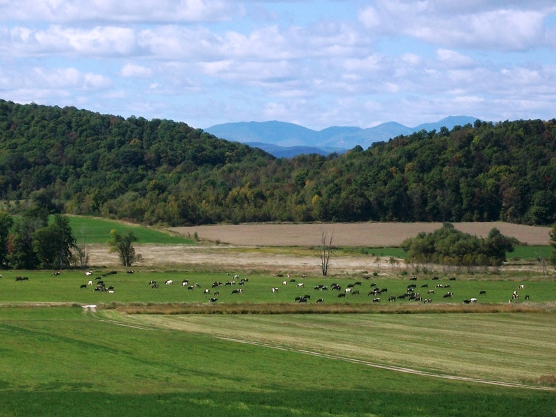 Winona, MS photo, picture, image (Mississippi) at