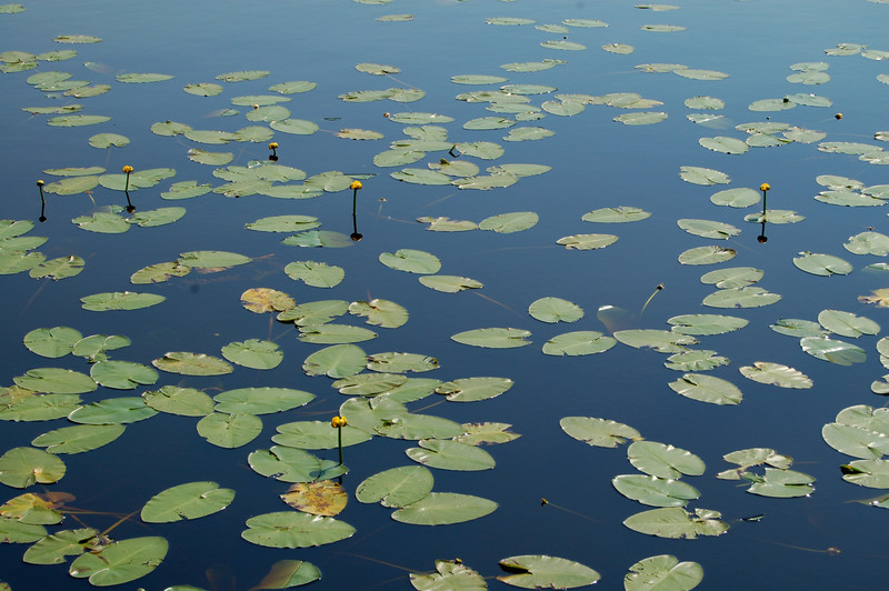 Wakefield, MI Sunday Lake photo, picture, image (Michigan) at city