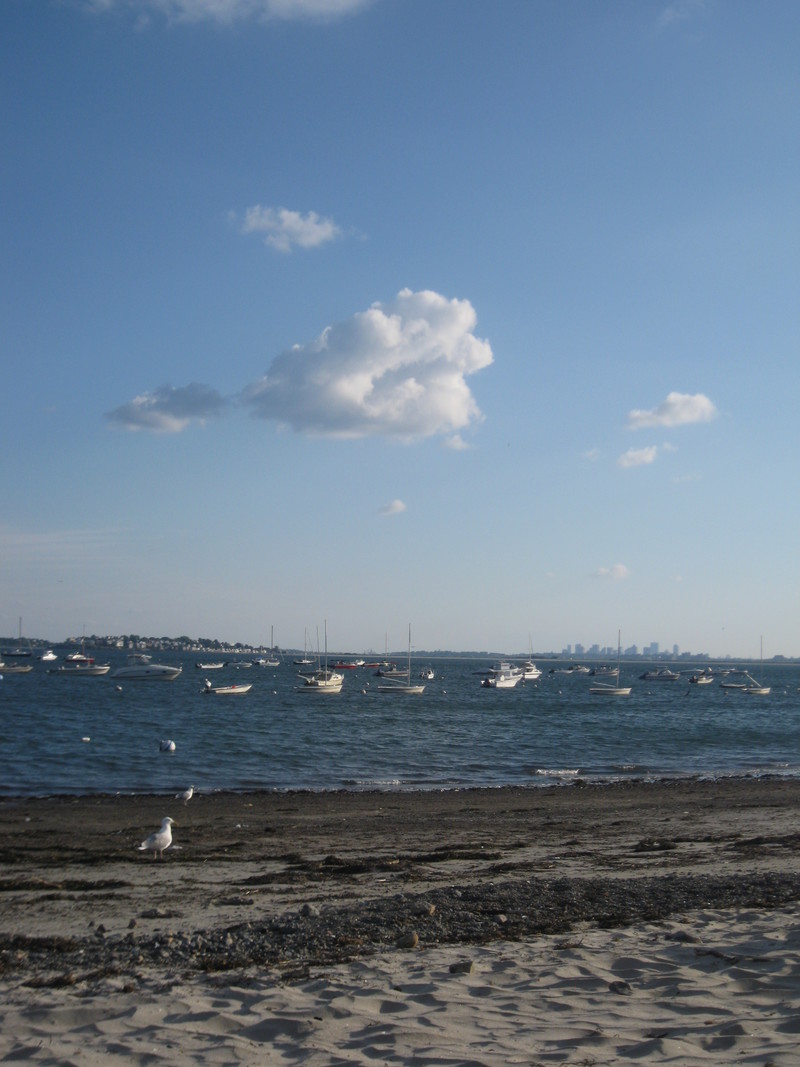 Swampscott, MA Boston Skyline from Fisherman's Beach photo, picture