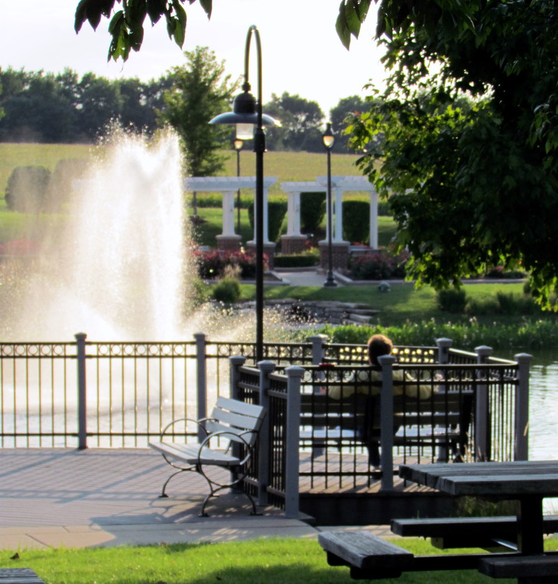 New Lenox, IL Village Common area photo, picture, image (Illinois) at